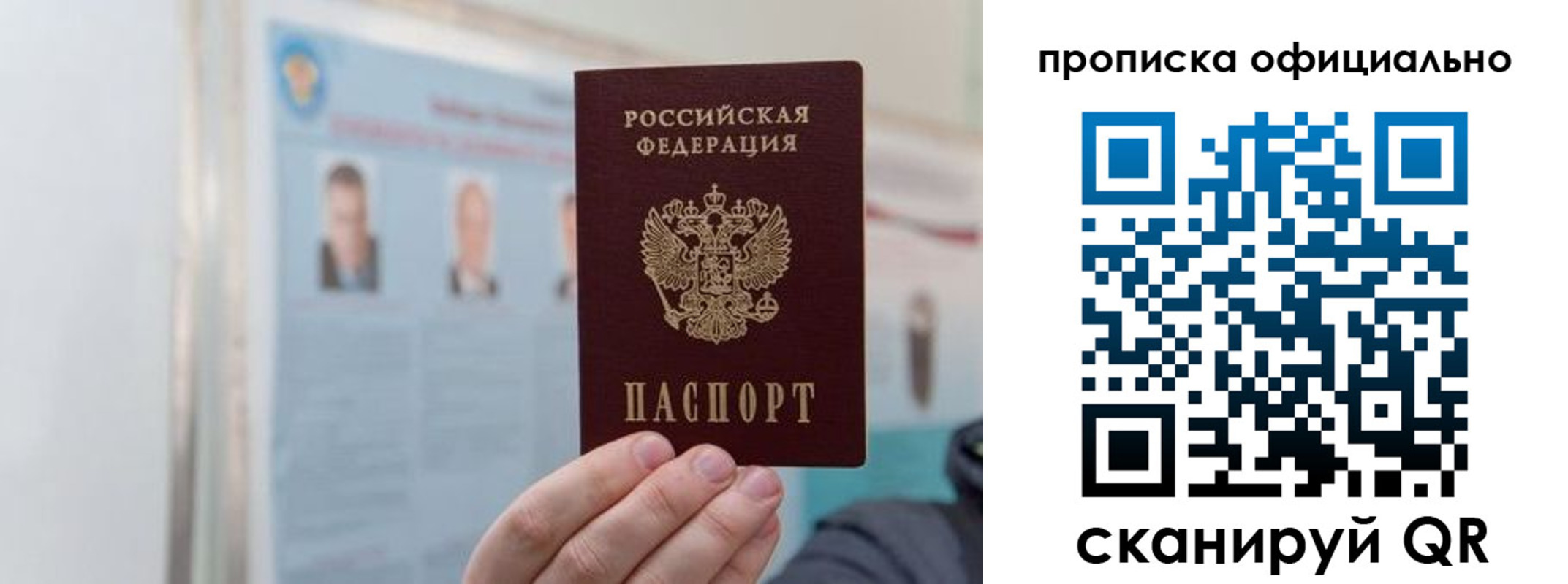 прописка гарантия в Братске